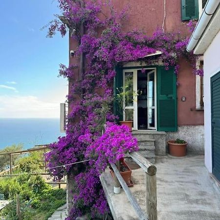 Appartamento Amazing Flat At The Heart Of 5 Terre National Park Vernazza Esterno foto