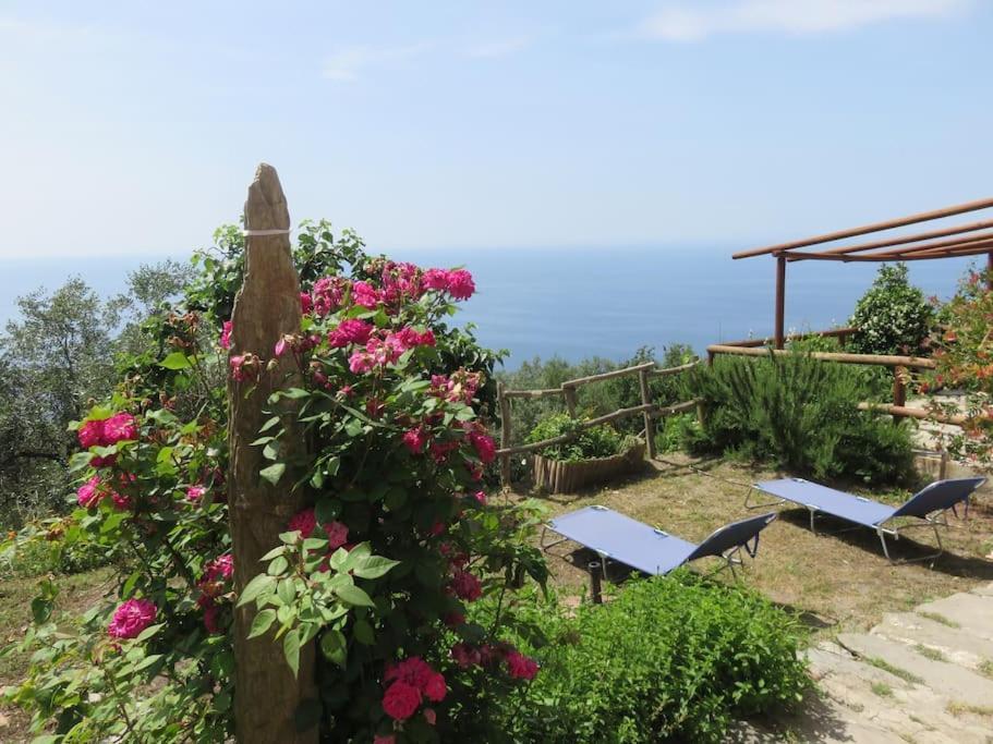 Appartamento Amazing Flat At The Heart Of 5 Terre National Park Vernazza Esterno foto