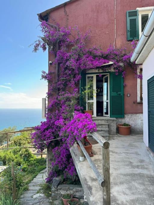 Appartamento Amazing Flat At The Heart Of 5 Terre National Park Vernazza Esterno foto